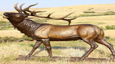 wild deer statue