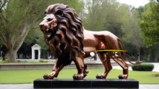 wild lion statue